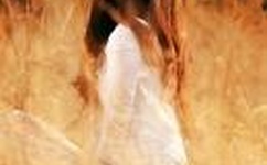 紫黑色蘑菇头顶开花缝